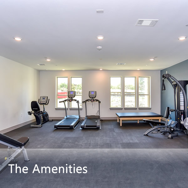 Features & Amenities